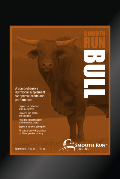Smooth Run Bull