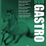Smooth Run Gastro