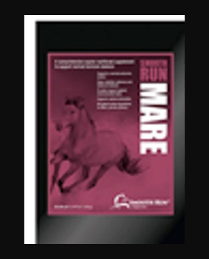 Smooth Run Mare